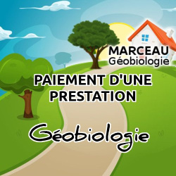 Geobiologie maison jusqu'a 100 m²